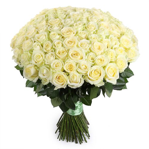 Заказать букет из 101 белой розы с доставкой по Цигломени