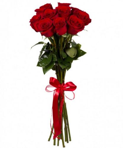 Букет из 9 красных розы купить с доставкой по Цигломени