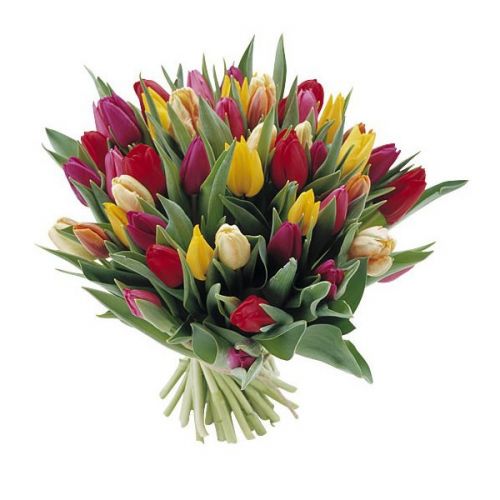 Букет тюльпанов микс "Скарлет" в интернет-магазине - купить с доставкой по Цигломени