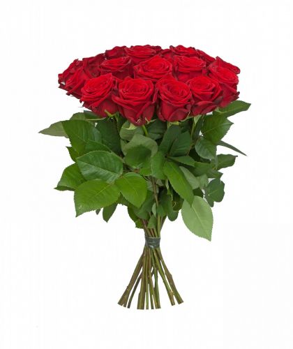 15 красных роз - купить с доставкой по Цигломени