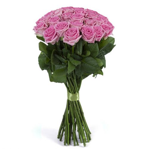 Купить букет из 31-ой розовой розы с доставкой по Цигломени