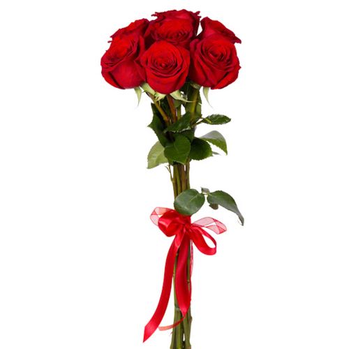 Купить 7 красных роз с доставкой по Цигломени