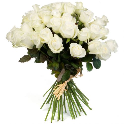 Купить 35 белых роз с доставкой по Цигломени